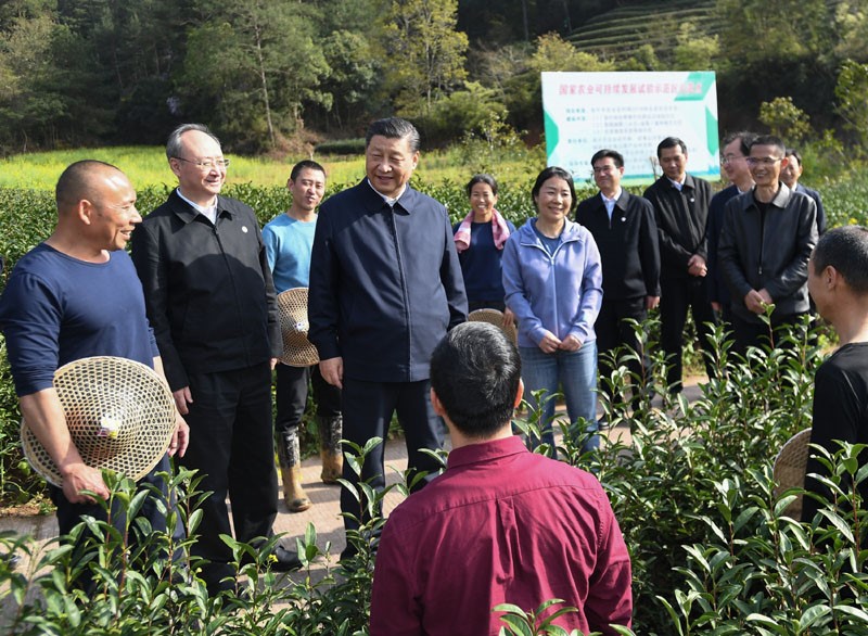 丨一草一木 清香隽永AG真人国际薪火相传(图4)